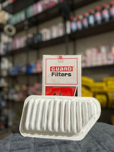 Guard Air Filter for Mira